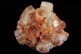 Lot: Small Twinned Aragonite Crystals - Pieces #78110-3